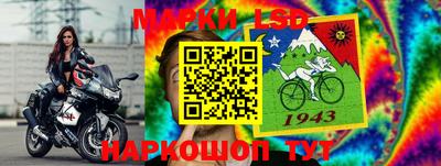 ешки Дубна