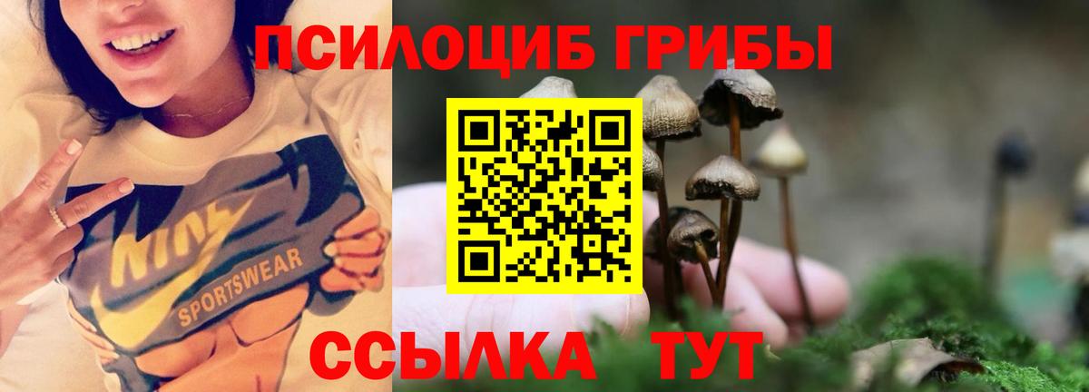 Мелеуз  Псилоцибиновые грибы мицелий  Вход с VPN 
